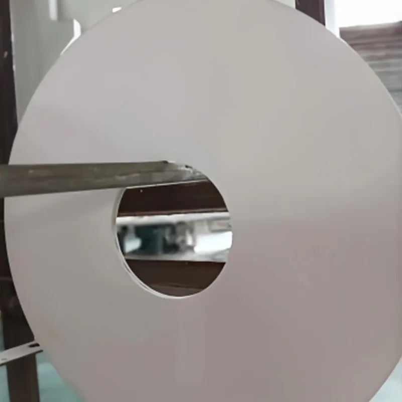 Вращающаяся керамическая мембрана дискового вакуумного фильтра (4)